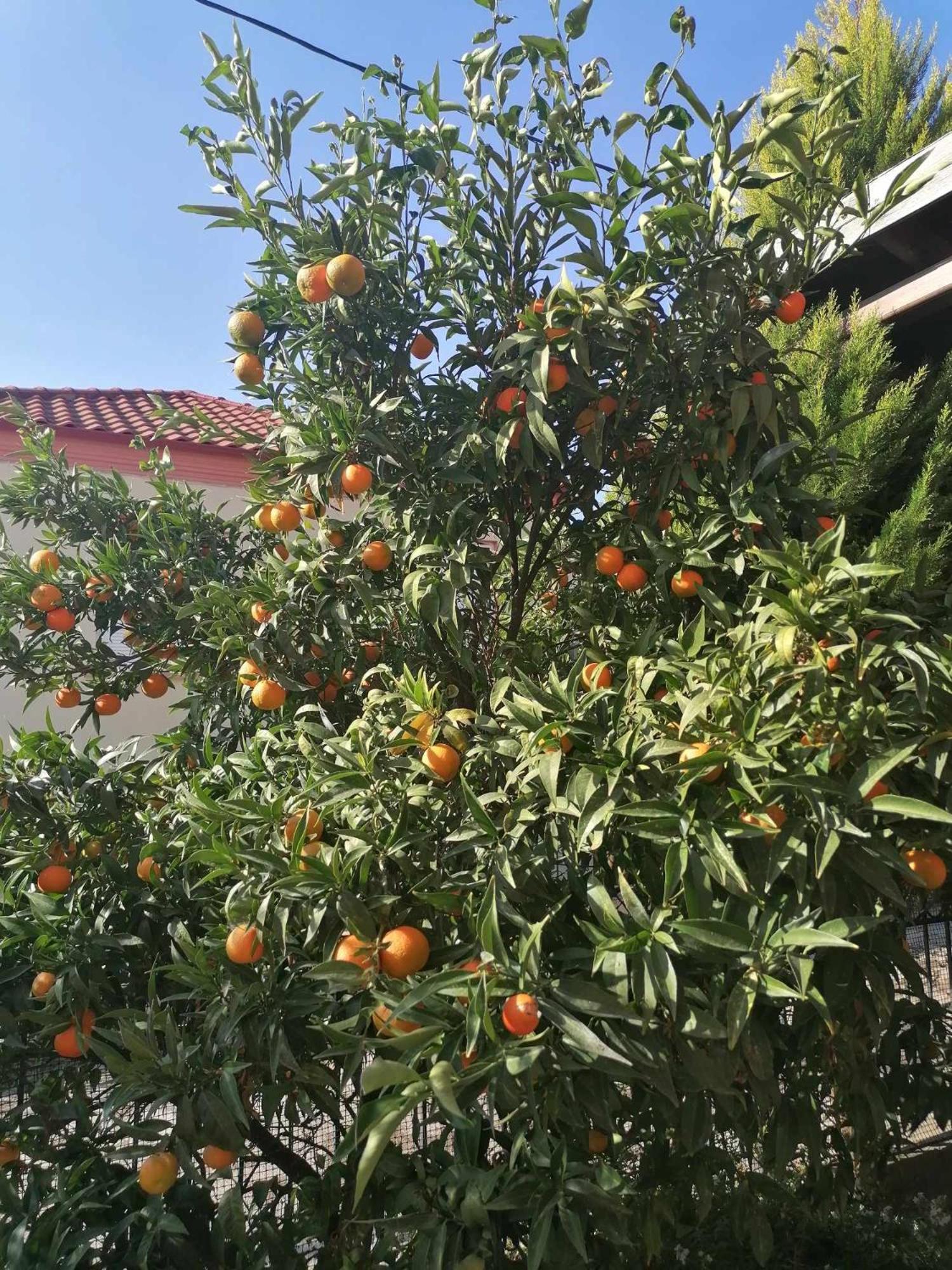 Cosy House Stratoni Chalkidiki 300M From Beach Екстер'єр фото